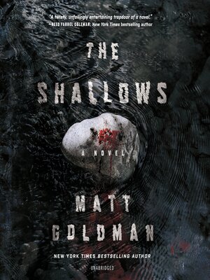cover image of The Shallows